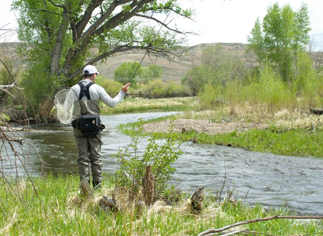 An angler on the Tomichi Creek.